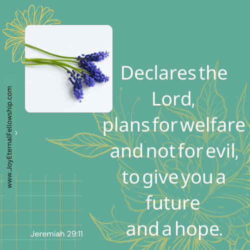 Today's Bible Verse