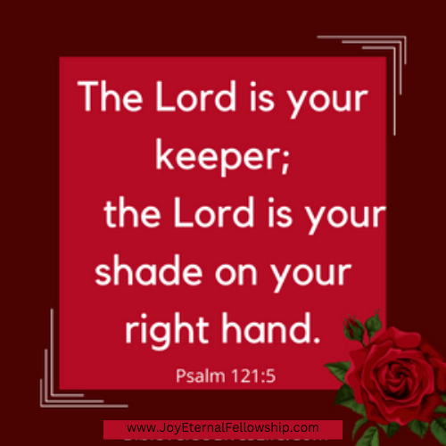 Today's Bible Verse