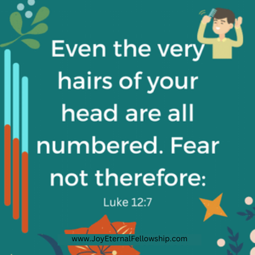 Today's Bible Verse