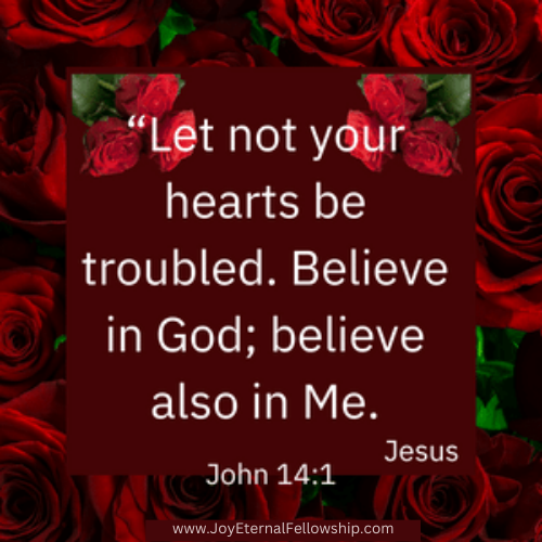 Today's Bible Verse