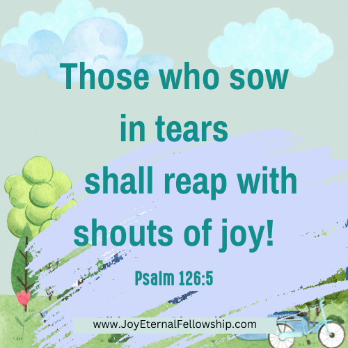 Today's Bible Verse