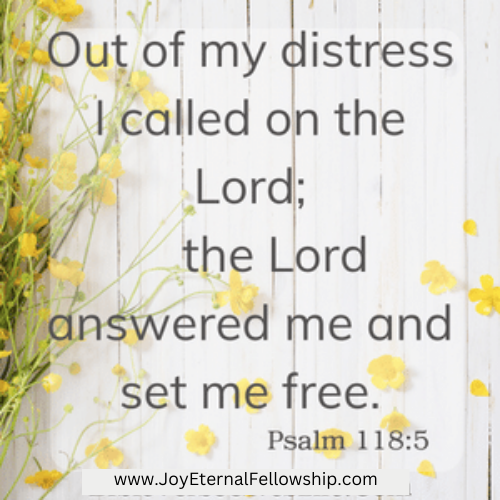 Today's Bible Verse