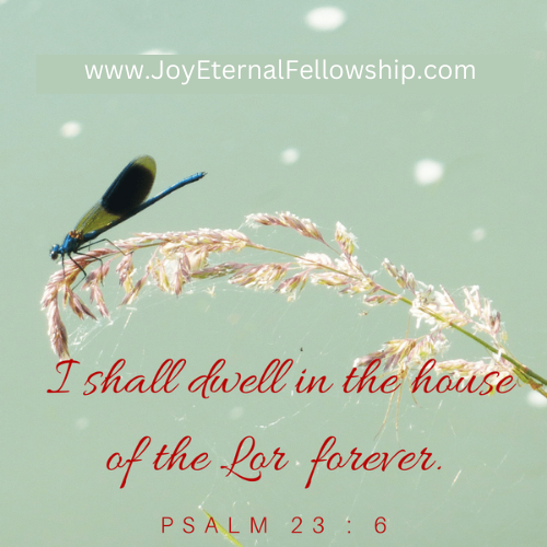 Today's Bible Verse