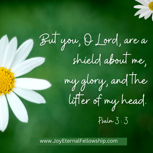 Today's Bible Verse