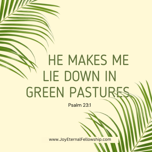 Today's Bible Verse